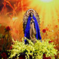 06/06/2026 Santa Missa 18h