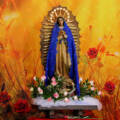 08/07/2026 Santa Missa 12h