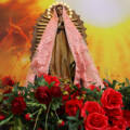 23/07/2026 Santa Missa 12h
