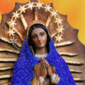 02/09/2026 Santa Missa 12h