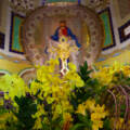 28/07/2026 Santa Missa 19h