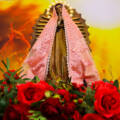 26/08/2026 Santa Missa 12h
